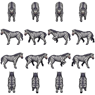 horse-zebra