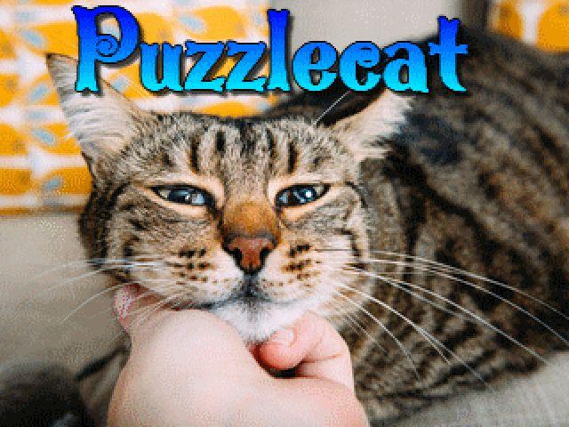 Puzzlecat