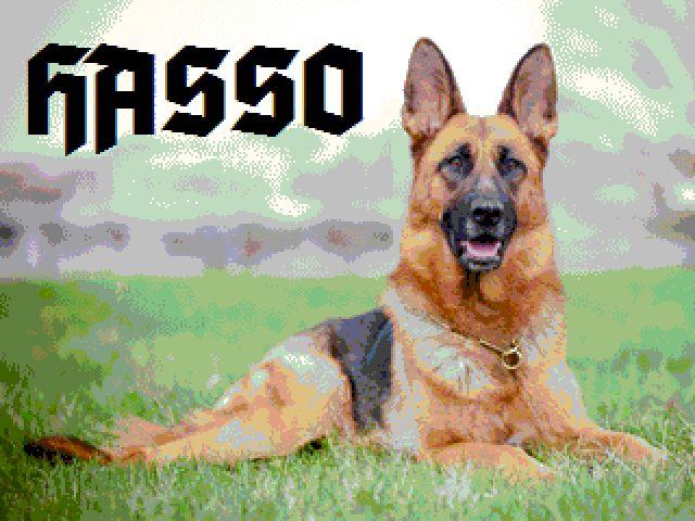 Hasso