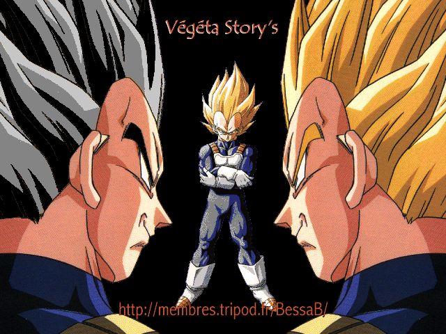 Végéta Story's