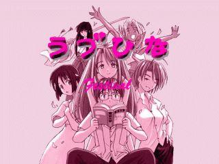 Love Hina Festival
